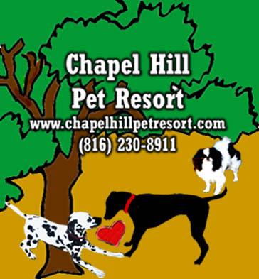 Dog Boarding and Grooming in a pleasant Resort Atmosphere